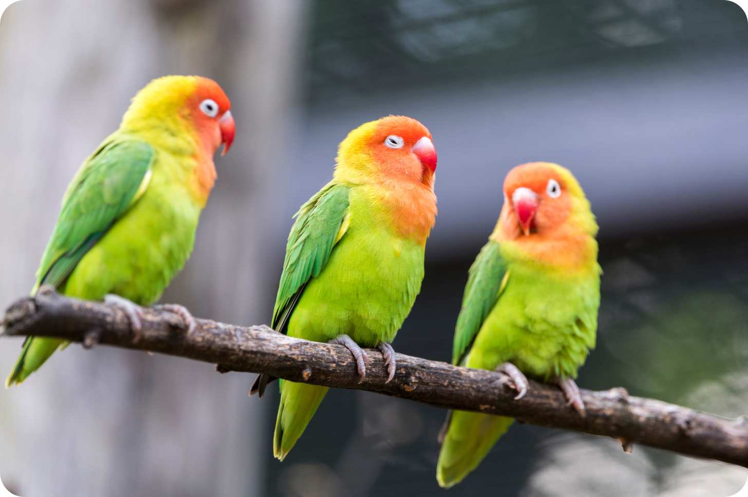 Hero image of a city skyline at night